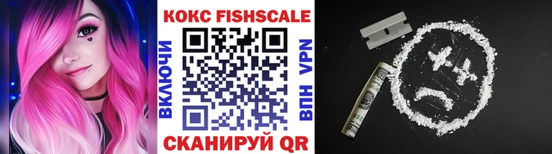 купить закладку Дюртюли Cocaine 98%