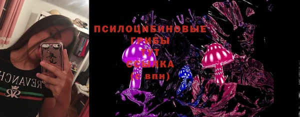 прущие грибы Волоколамск