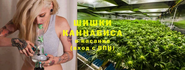 гидропоника Елабуга