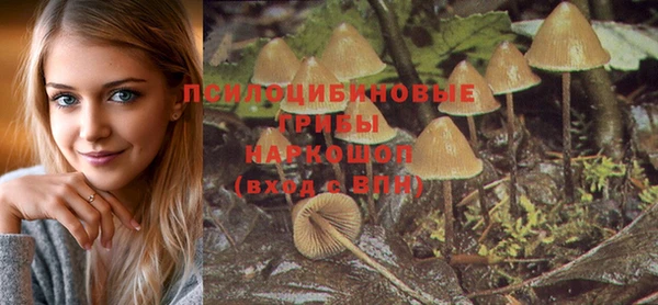 винт Каменногорск