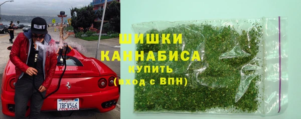 дмт Каменка