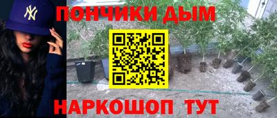 гашик Донецк
