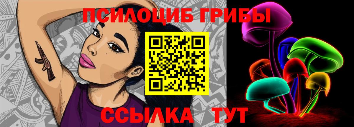 Галлюциногенные грибы Psilocybe  Псилоцибиновые грибы прущие грибы  Дюртюли 